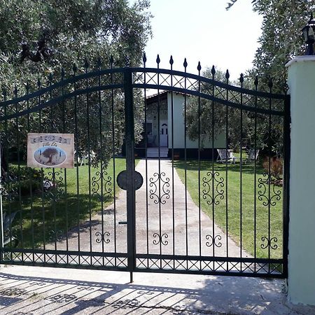 Villa Elia Skala Sotiros Exterior photo