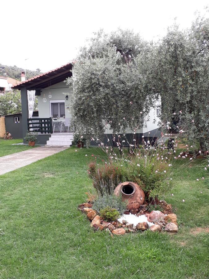 Villa Elia Skala Sotiros Exterior photo